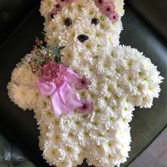 Teddy Tribute