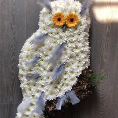 Owl Tribute 