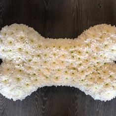 Dog Bone