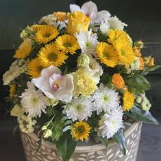 Yellow &amp; White Posy