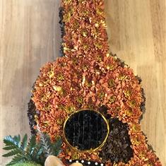 Acoustic Guitar Tribute 