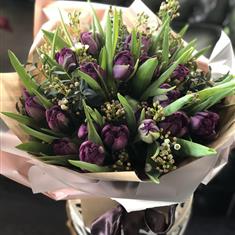 Purple Tulip Hand Tied 