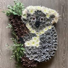 Koala Bear 
