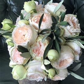 fwthumb7657A27C-F6C3-4D45-A8E1-082C43A72BD9.jpg